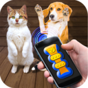 我的猫猫狗狗翻译器安卓最新版下载-我的猫猫狗狗翻译器app免费下载v1.9 最新版