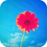 精选超清壁纸免费大图版下载-超清壁纸精选炫酷特效版v1.0.2 最新版
