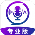 王者变音修音神器APP下载-王者变声器专业免收费版v1.0.2 安卓版
