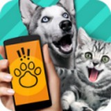 pet translator宠物对话翻译器下载-pet translator软件2022最新版v1.1 官方正版 pet translator宠物对话翻译器下载-pet translator软件2022最新版v1.1 官方正版