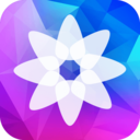 每日精选壁纸App免费版下载-精选壁纸无水印版v1.0 高清版