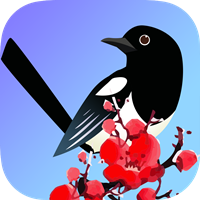 喜鹊快讯最新版下载-喜鹊快讯appv1.0.2 安卓版