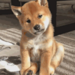 JD助手安卓版下载app-JD助手appv1.0.8 免费版 JD助手安卓版下载app-JD助手appv1.0.8 免费版