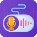 手游语聊变声器app下载-手游语聊变声器v1.0.01 安卓版