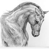 6pen art ai画画安卓下载-6pen Art安卓版v1.2 最新版
