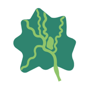 新津融媒app下载最新安卓版-新津融媒v1.0.0 官方版 新津融媒app下载最新安卓版-新津融媒v1.0.0 官方版