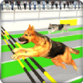 竞争对手赛狗游戏下载-竞争对手赛狗Rival Stars Greyhounds Dog Racing Gamev1.0 安卓版 竞争对手赛狗游戏下载-竞争对手赛狗Rival Stars Greyhounds Dog Racing Gamev1.0 安卓版