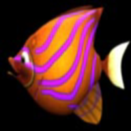 m木糖m大鱼吃小鱼游戏下载-吞食鱼黑鲨安卓版(BigFishEatSmallFish)v1.0 最新版 m木糖m大鱼吃小鱼游戏下载-吞食鱼黑鲨安卓版(BigFishEatSmallFish)v1.0 最新版