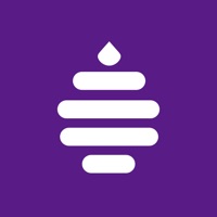 嗨语官方新版本下载-嗨语hibee外语app下载v3.7.1 官方版