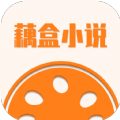 藕盒小说app免费下载安装-藕盒小说软件v1.0.0 最新版