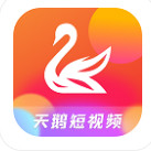 天鹅短视频app下载2023最新版-天鹅短视频app官方版下载v2.0.2 安卓版 天鹅短视频app下载2023最新版-天鹅短视频app官方版下载v2.0.2 安卓版