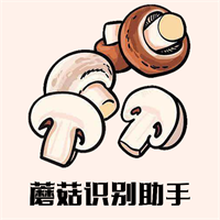 蘑菇识别助手app下载安装最新版-蘑菇识别助手app官方版下载v1.1 安卓版