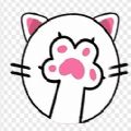 rjmao软件喵app下载官方版-rjmao软件喵app最新版下载v1.6.3 安卓版 rjmao软件喵app下载官方版-rjmao软件喵app最新版下载v1.6.3 安卓版