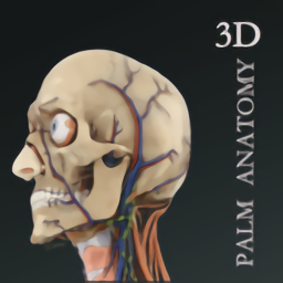 掌上3D解剖app下载安装-掌上3D解剖app最新版下载v2.8.2 安卓版 掌上3D解剖app下载安装-掌上3D解剖app最新版下载v2.8.2 安卓版